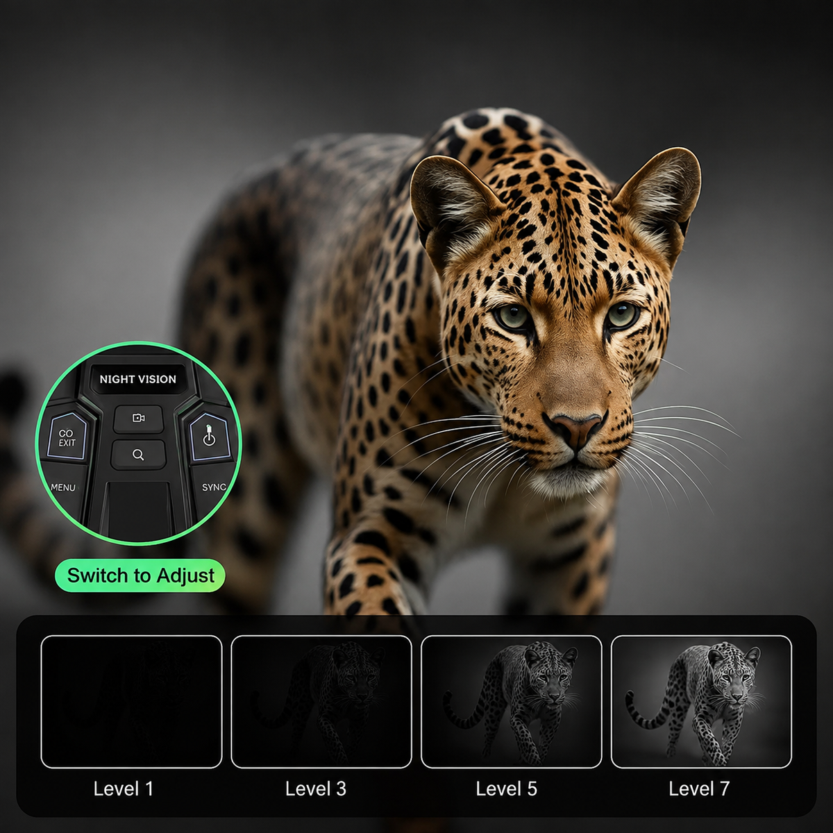 Auvra™ Night Vision Goggles