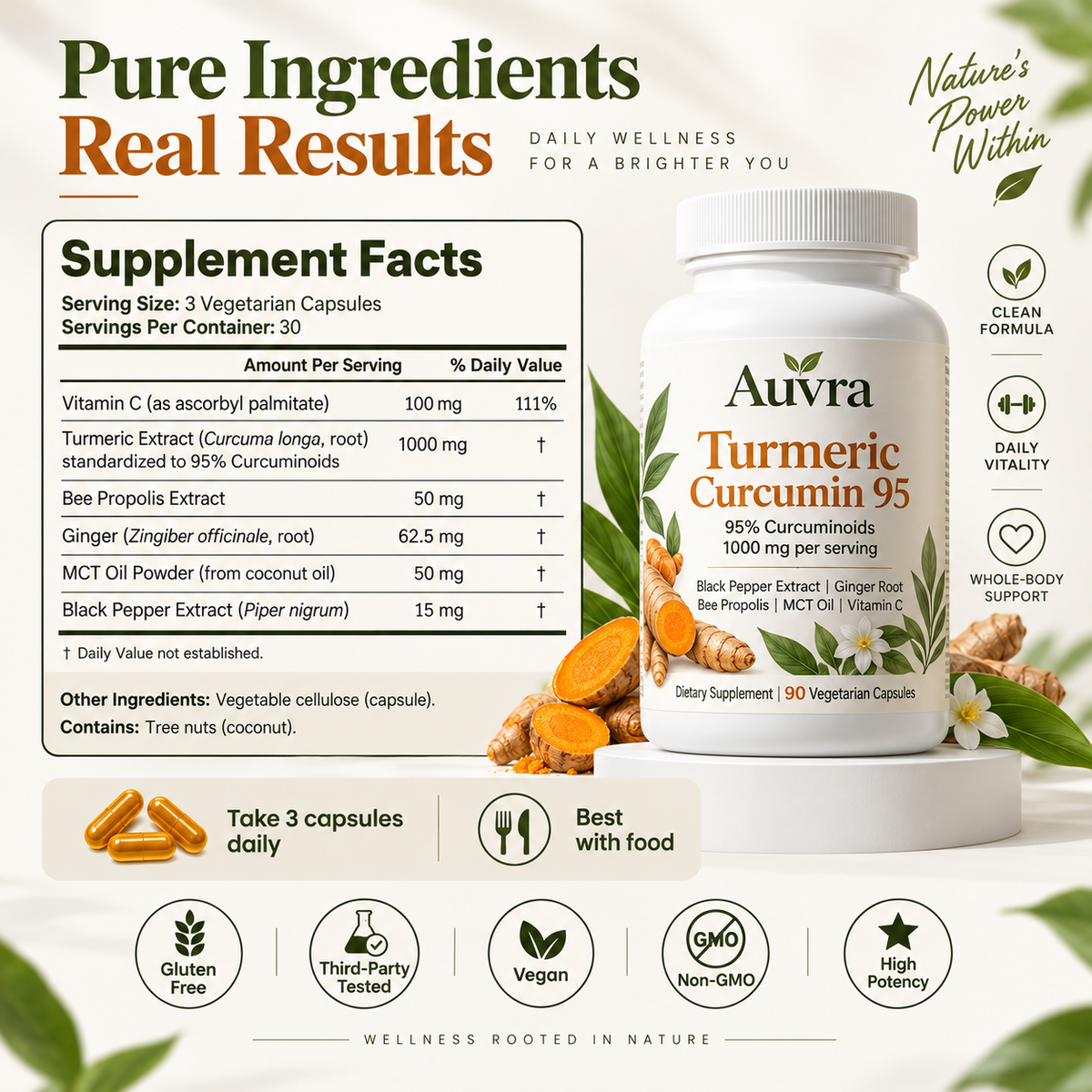 Turmeric Curcumin - 1000 mg Capsules